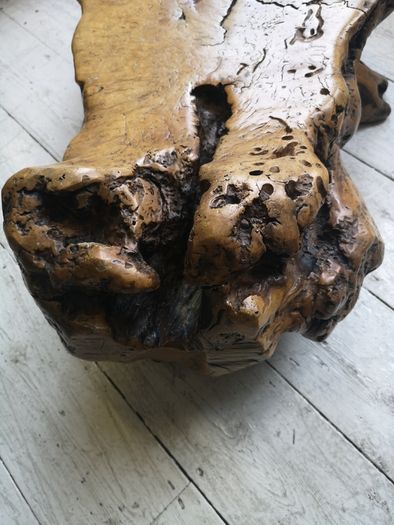 American Redwood Burl