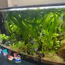 Fish tank Image 2