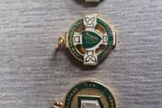 Leinster GAA Medals