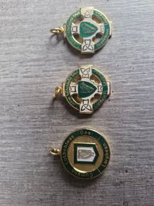 Leinster GAA Medals