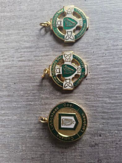 Leinster GAA Medals