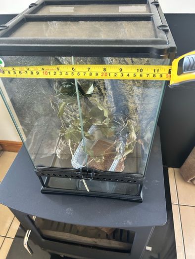 terrarium