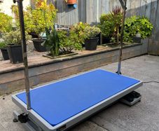 Groom Professional Kilimanjaro Low Level Electric Dog Grooming Table