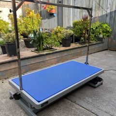 Groom Professional Kilimanjaro Low Level Electric Dog Grooming Table