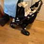Bugaboo Lynx Complete Set Image 2
