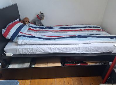 Single Bed