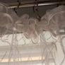 Net  curtains XXL Image 8