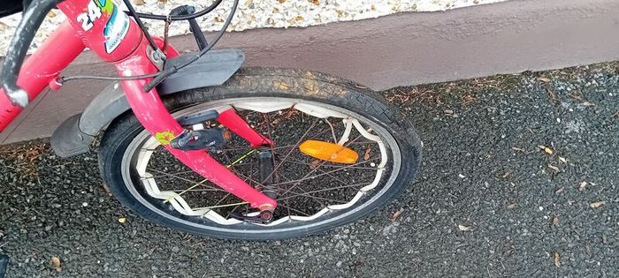 Kids Frog Bike/repair