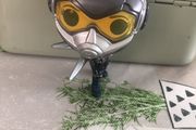Funko pop the Wasp  Marvel (no Box )