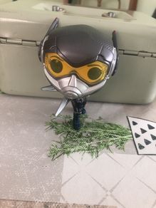 Funko pop the Wasp  Marvel (no Box )