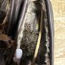 Mens Paul Costello Slippers Size 10 Image 2