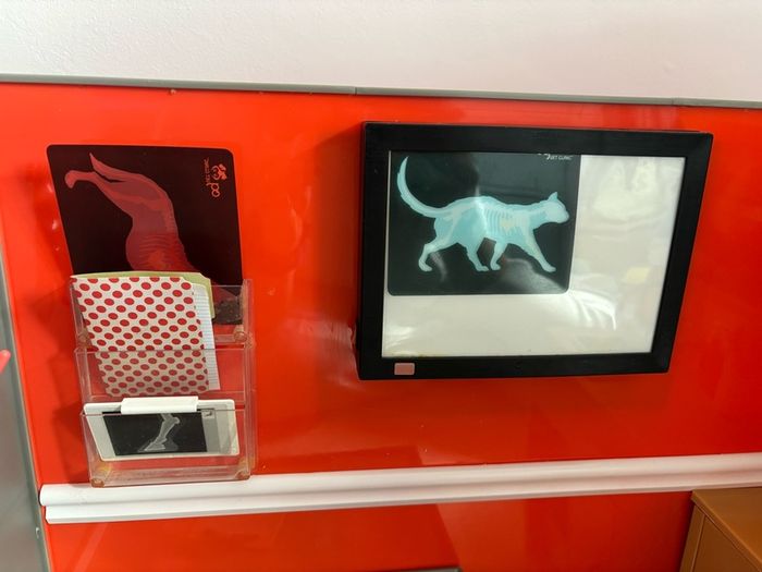 Our Generation Vet Clinic