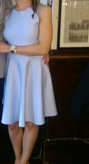 ted baker dress