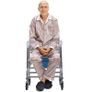 Personal Mobility Assist Commode Shower Transport Medical Rolling Chair Over The Toilet Image 2