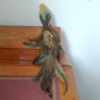 Beautiful Decorative Feather Bird Image 3