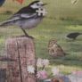 Country Birds jigsaw puzzle 1000 pcs Image 3