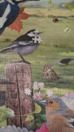 Country Birds jigsaw puzzle 1000 pcs