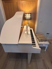Roland Mini Grand Piano