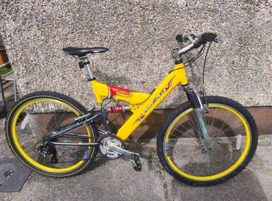 Raleigh mountain bike