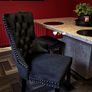 kitchen/dinning chairs Image 2