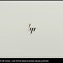Hp Elitebook 840 G6 Win 11 Intel I7 16gb Ram 256gb Nvme Ssd Image 8