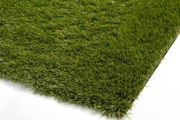 Artifical grass
