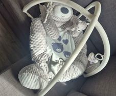 Baby Gym