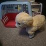 Toys Image 7