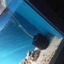 Large fish tank for sale Image 4