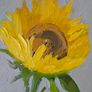 Celina Mastella Oil painting Image 3