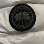 White canada goose Image 6