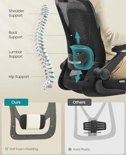 Home Office and Student chair (have 2)