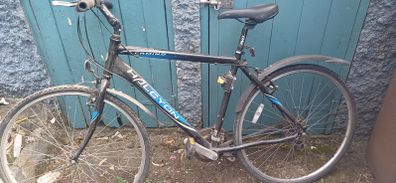 Mans bike