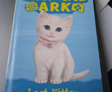 animal ark lost kitten