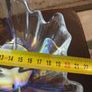 Fruit bowl Image 7