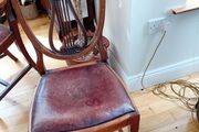 Dining chairs x 6 + carver