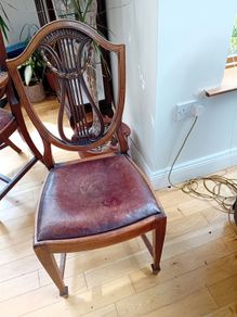 Dining chairs x 6 + carver