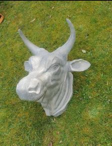 Butcher shop display bull head