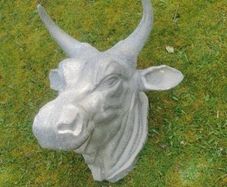 Butcher shop display bull head