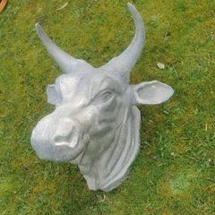 Butcher shop display bull head