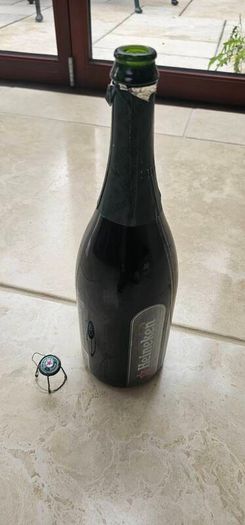 Large Heineken Bottle