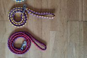 Dog leash in 4 colours