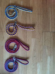 Dog leash in 4 colours
