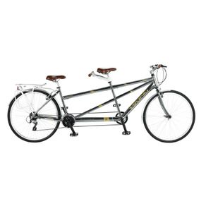 20"/18" Viking Ascot 21 Speed 700c Wheel Tandem, Platinum Grey