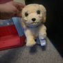 Toys Image 5