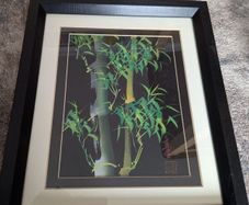 bamboo picture