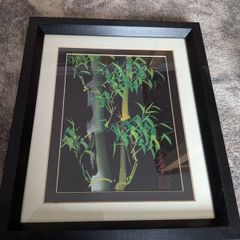 bamboo picture