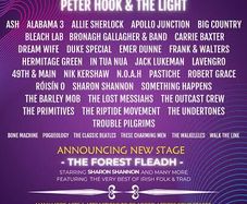 2 x Forest Fest tickets (Saturday)