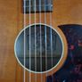Atkin L36 Kingfisher 2025 Image 2