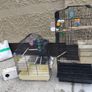 bird cage Image 2